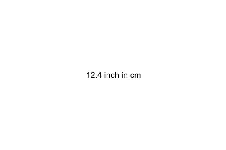 12 4 inch in cm