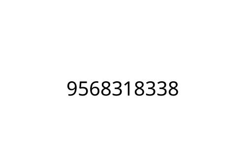 9568318338