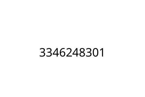 3346248301