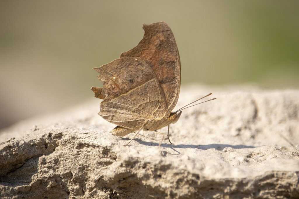 if i swipe left will they still see me