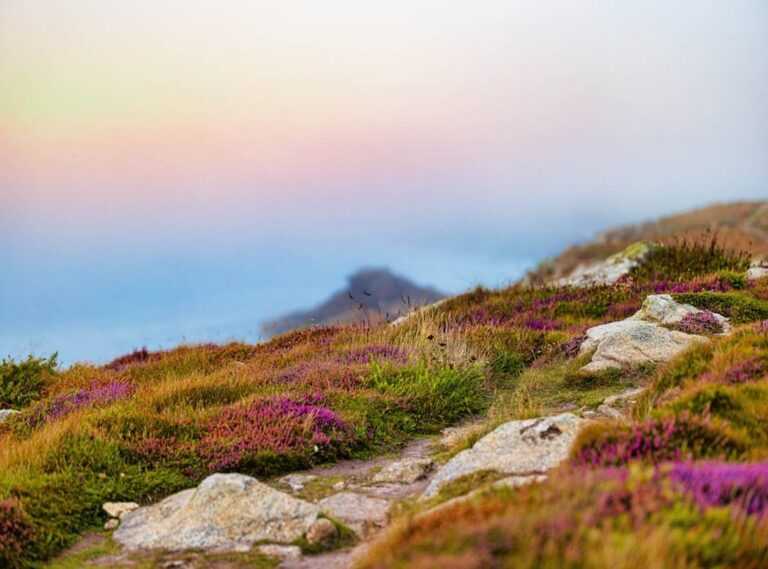 erika vikman onlyfans