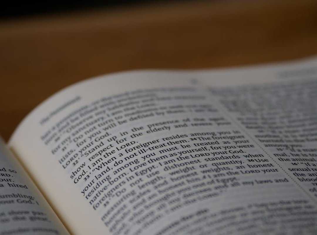 Exploring Different Renditions and High-Quality Versions