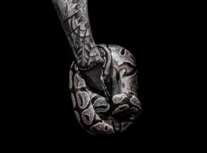 significado tatuajes de serpientes en el dedo