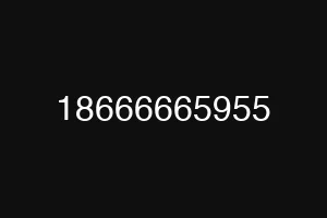 18666665955
