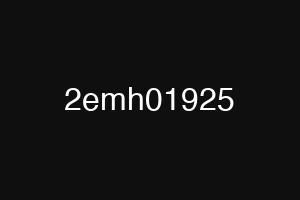 2emh01925