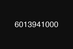 6013941000