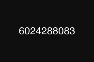 6024288083