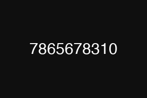7865678310