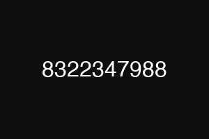 8322347988