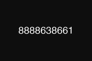 8888638661