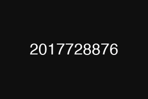 2017728876