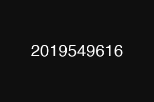 2019549616