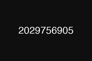 2029756905