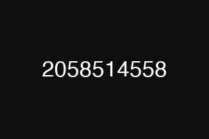 2058514558