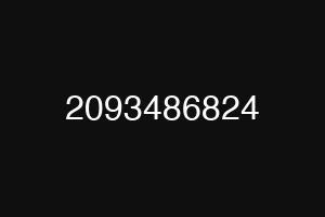 2093486824