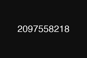2097558218