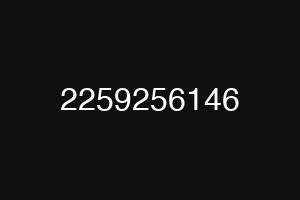 2259256146