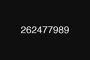262477989