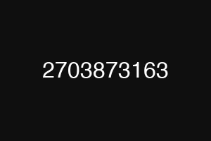 2703873163