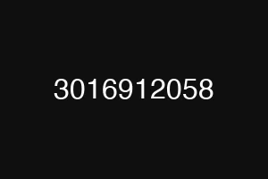 3016912058