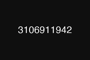 3106911942