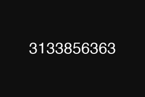 3133856363