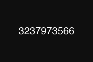 3237973566