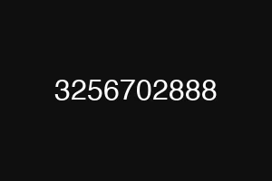 3256702888