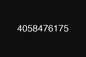 4058476175