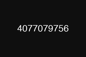 4077079756