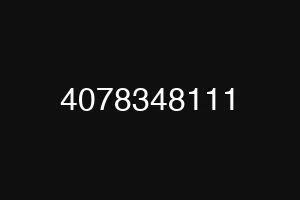 4078348111