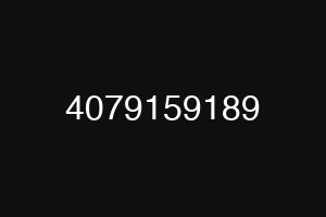 4079159189