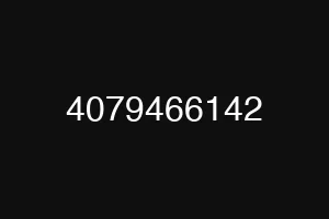 4079466142