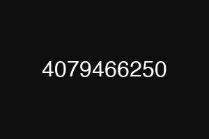 4079466250
