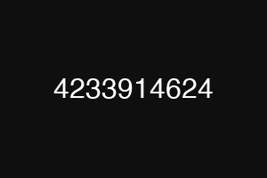 4233914624