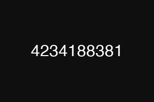 4234188381