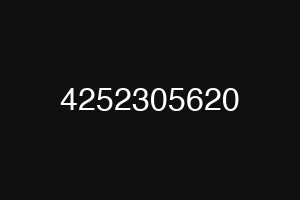4252305620