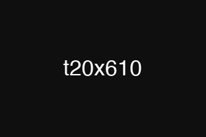 t20x610