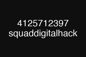 4125712397 squaddigitalhack